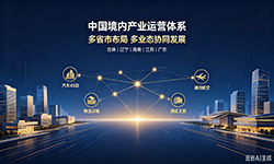 国际业务（中国）